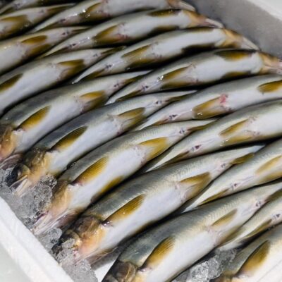 〈鮎のコンフィ〉 当店夏のスペシャリテ 和歌山県産の鮎をジュ…