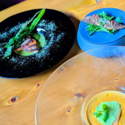 筍、山椒、菜の花、蕪、茶 春の食…