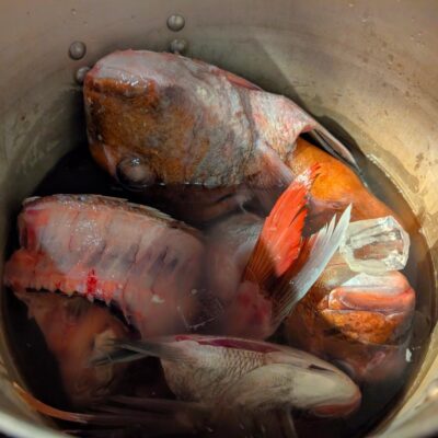 【フュメドポワソン】 当店では魚…